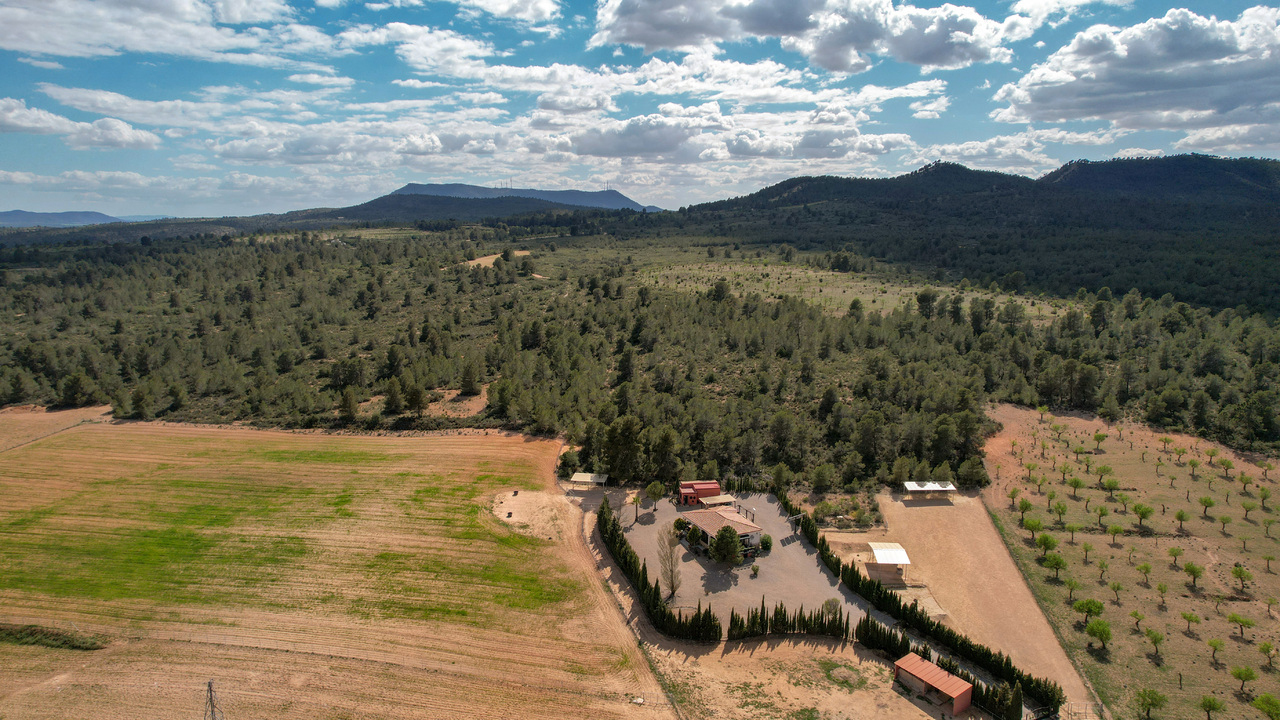 Olive Grove Estates Zarra Equestrian Property Horses Stables Spain For Sale (14)