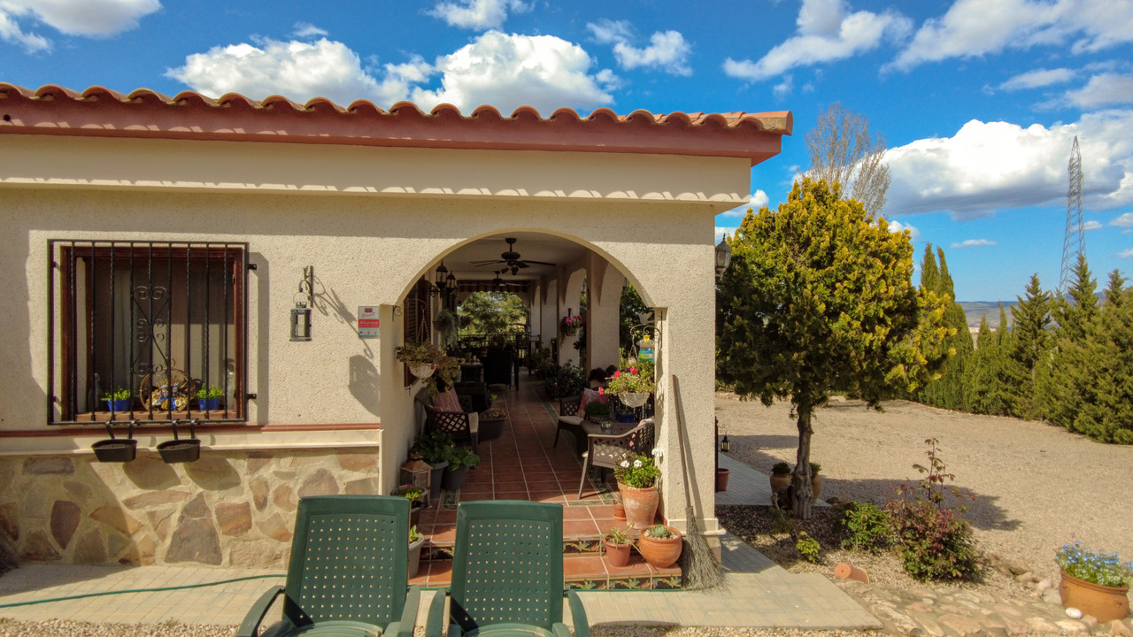 Olive Grove Estates Zarra Equestrian Property Horses Stables Spain For Sale (17)