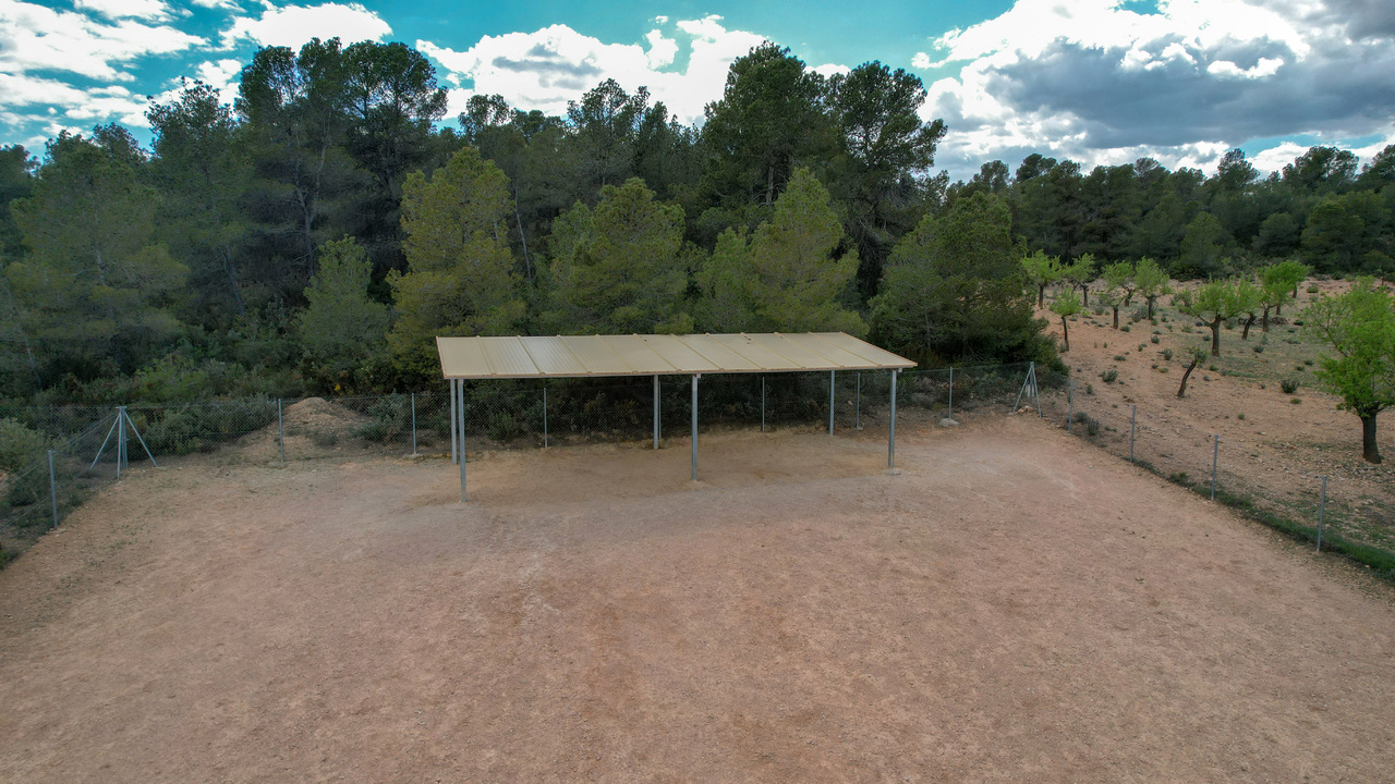 Olive Grove Estates Zarra Equestrian Property Horses Stables Spain For Sale (20)