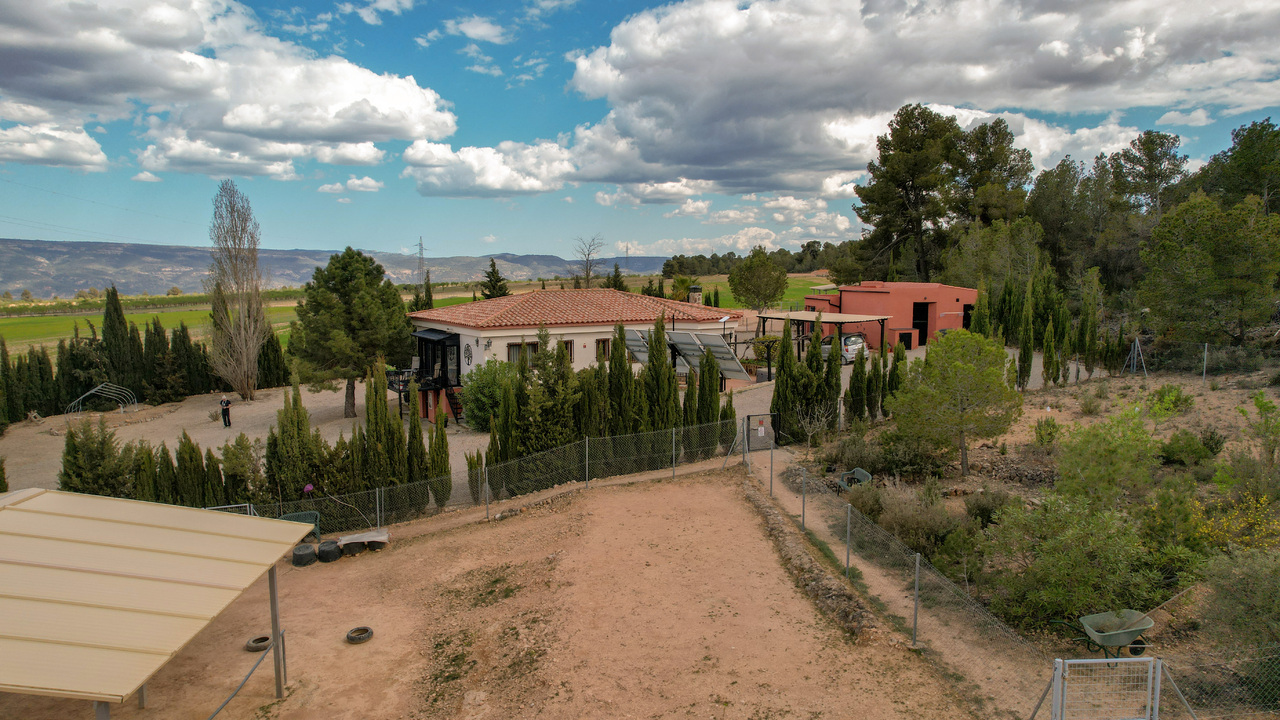 Olive Grove Estates Zarra Equestrian Property Horses Stables Spain For Sale (22)