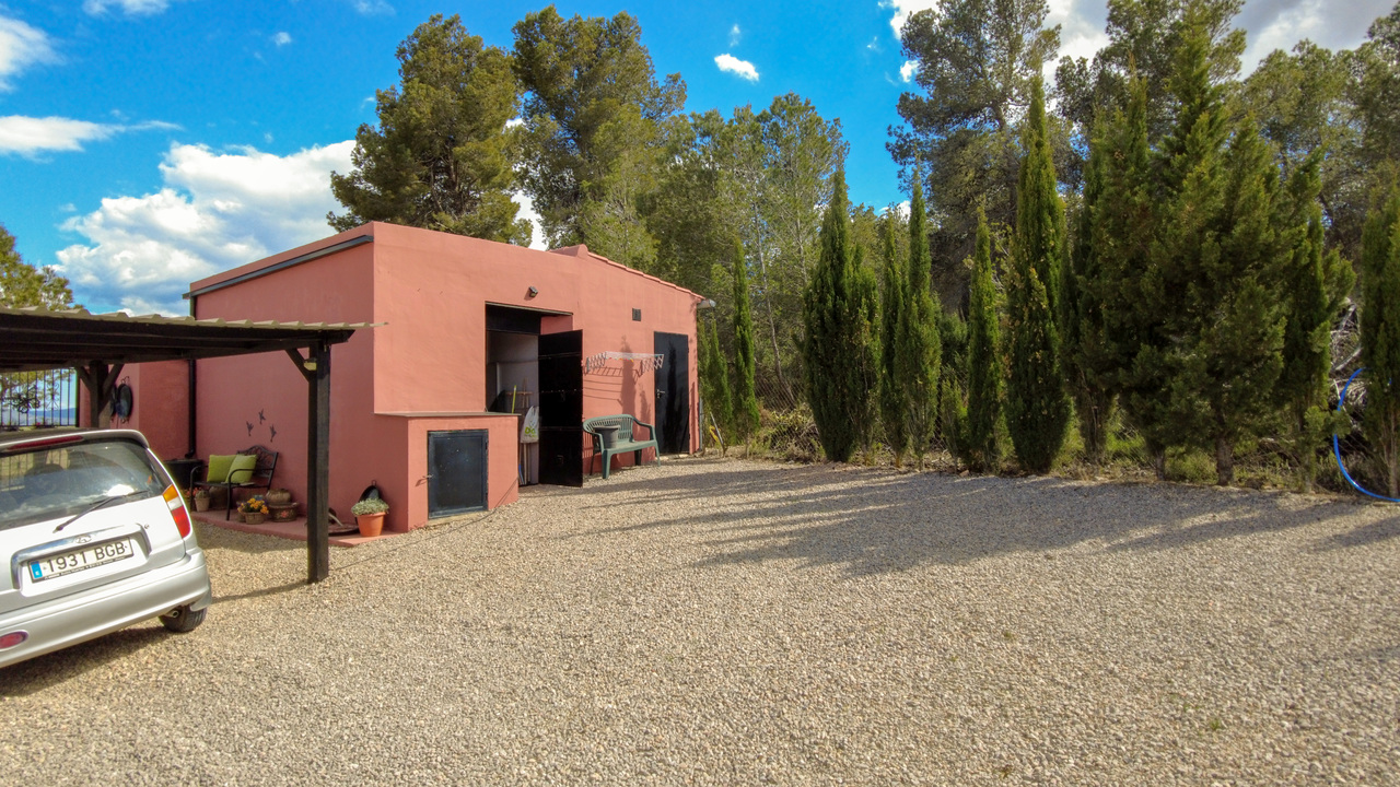 Olive Grove Estates Zarra Equestrian Property Horses Stables Spain For Sale (23)
