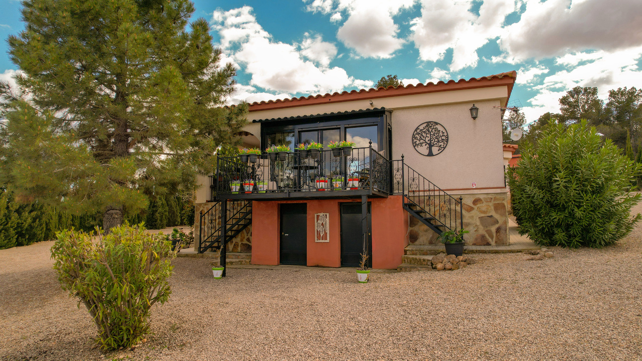 Olive Grove Estates Zarra Equestrian Property Horses Stables Spain For Sale (25)