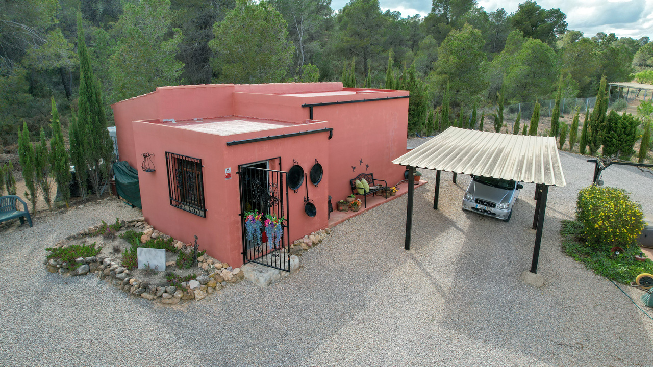Olive Grove Estates Zarra Equestrian Property Horses Stables Spain For Sale (32)