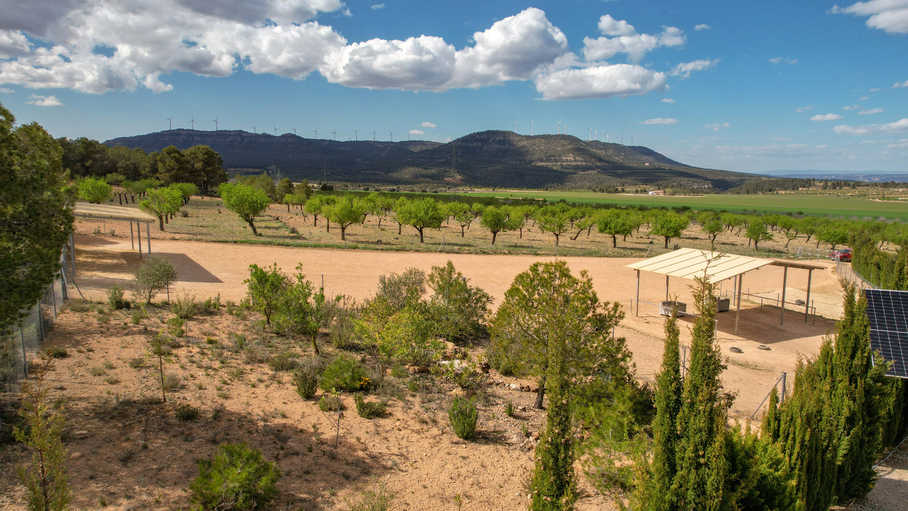 Olive Grove Estates Zarra Equestrian Property Horses Stables Spain For Sale (37)