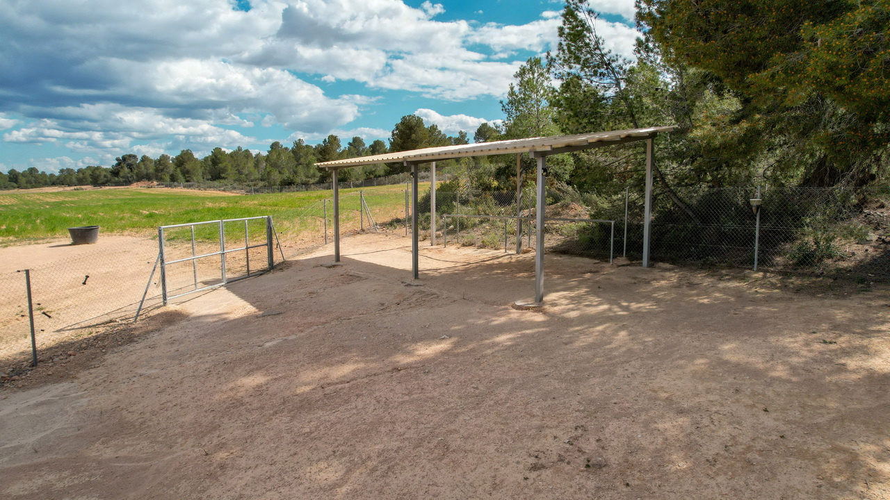 Olive Grove Estates Zarra Equestrian Property Horses Stables Spain For Sale (43)