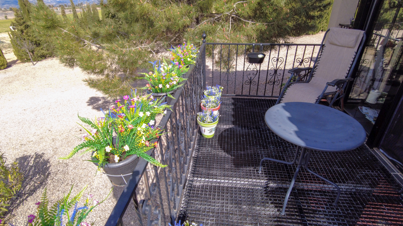Olive Grove Estates Zarra Equestrian Property Horses Stables Spain For Sale (44)