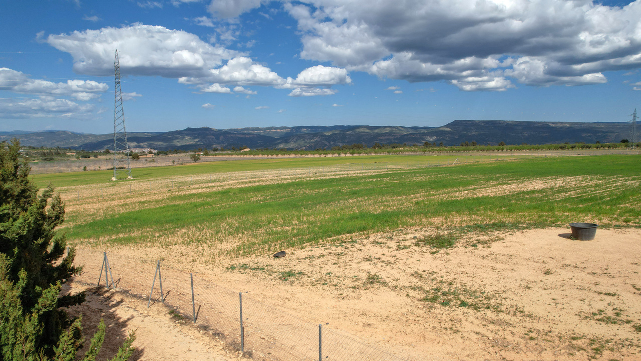 Olive Grove Estates Zarra Equestrian Property Horses Stables Spain For Sale (46)