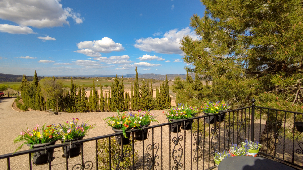 Olive Grove Estates Zarra Equestrian Property Horses Stables Spain For Sale (47)