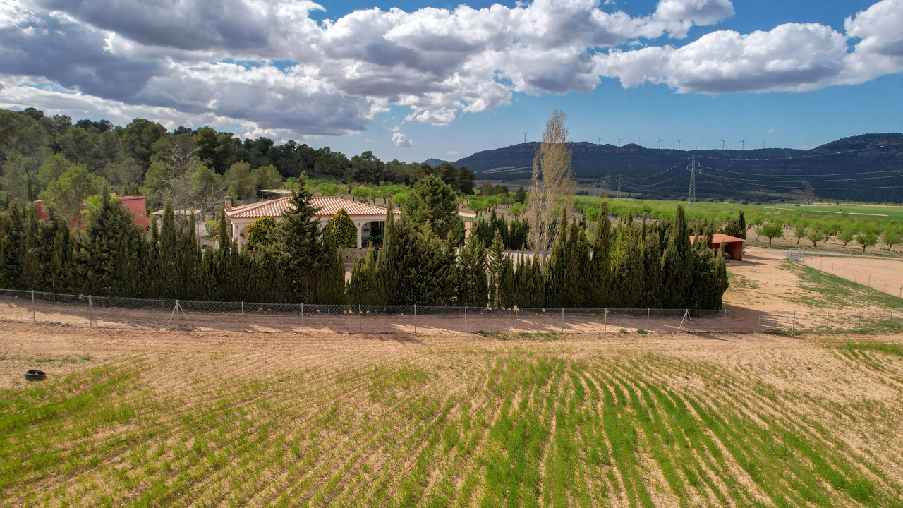 Olive Grove Estates Zarra Equestrian Property Horses Stables Spain For Sale (48)