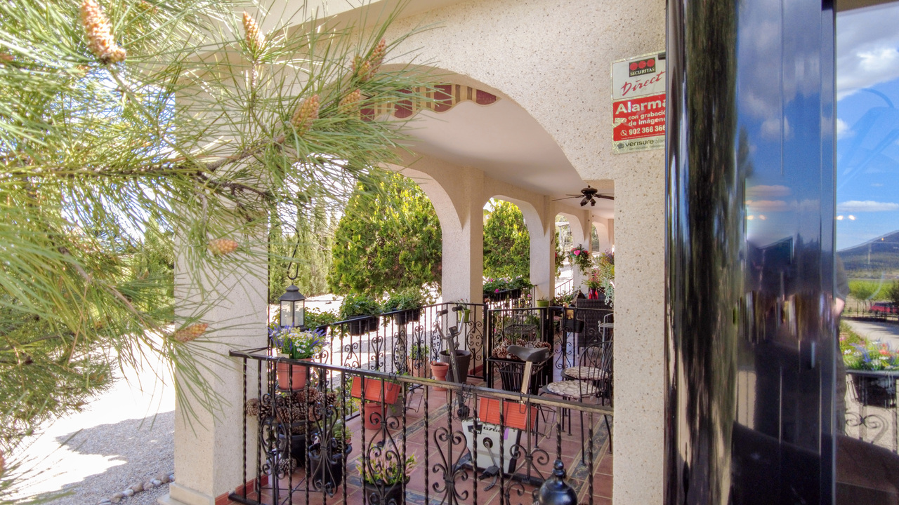 Olive Grove Estates Zarra Equestrian Property Horses Stables Spain For Sale (49)
