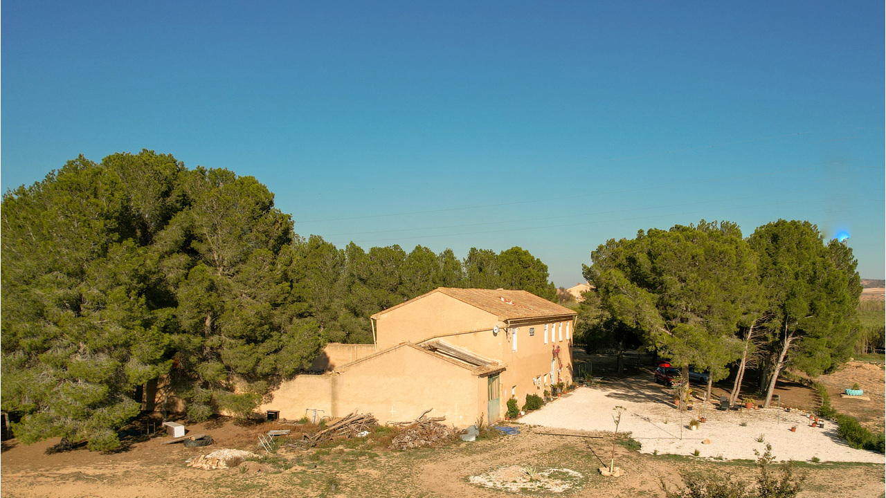 Olive Grove Estates Real Estate Agency Spain Alicante Caudete Best TrustedBuy a house Finca (4)