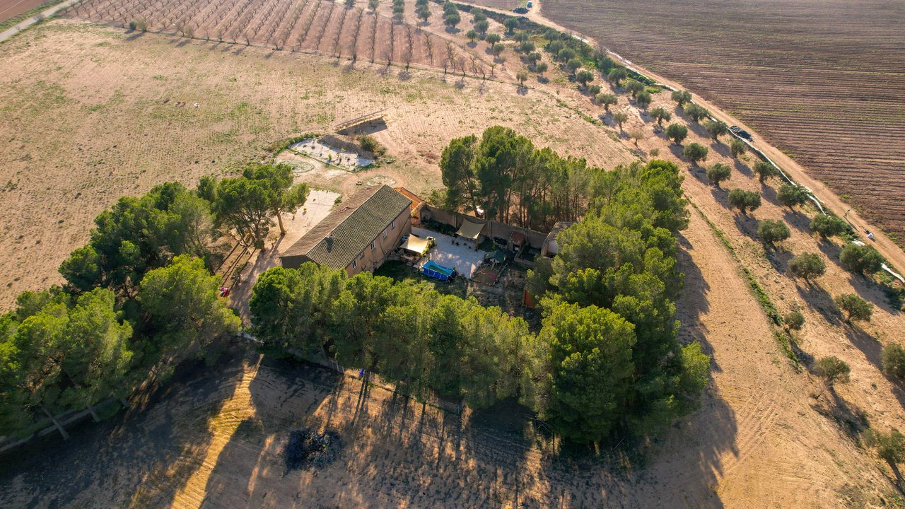 Olive Grove Estates Real Estate Agency Spain Alicante Caudete Best TrustedBuy a house Finca (7)