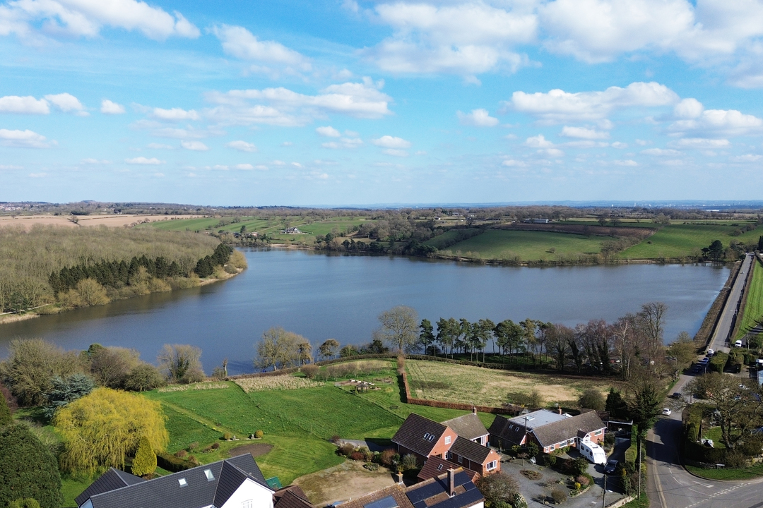 Local View