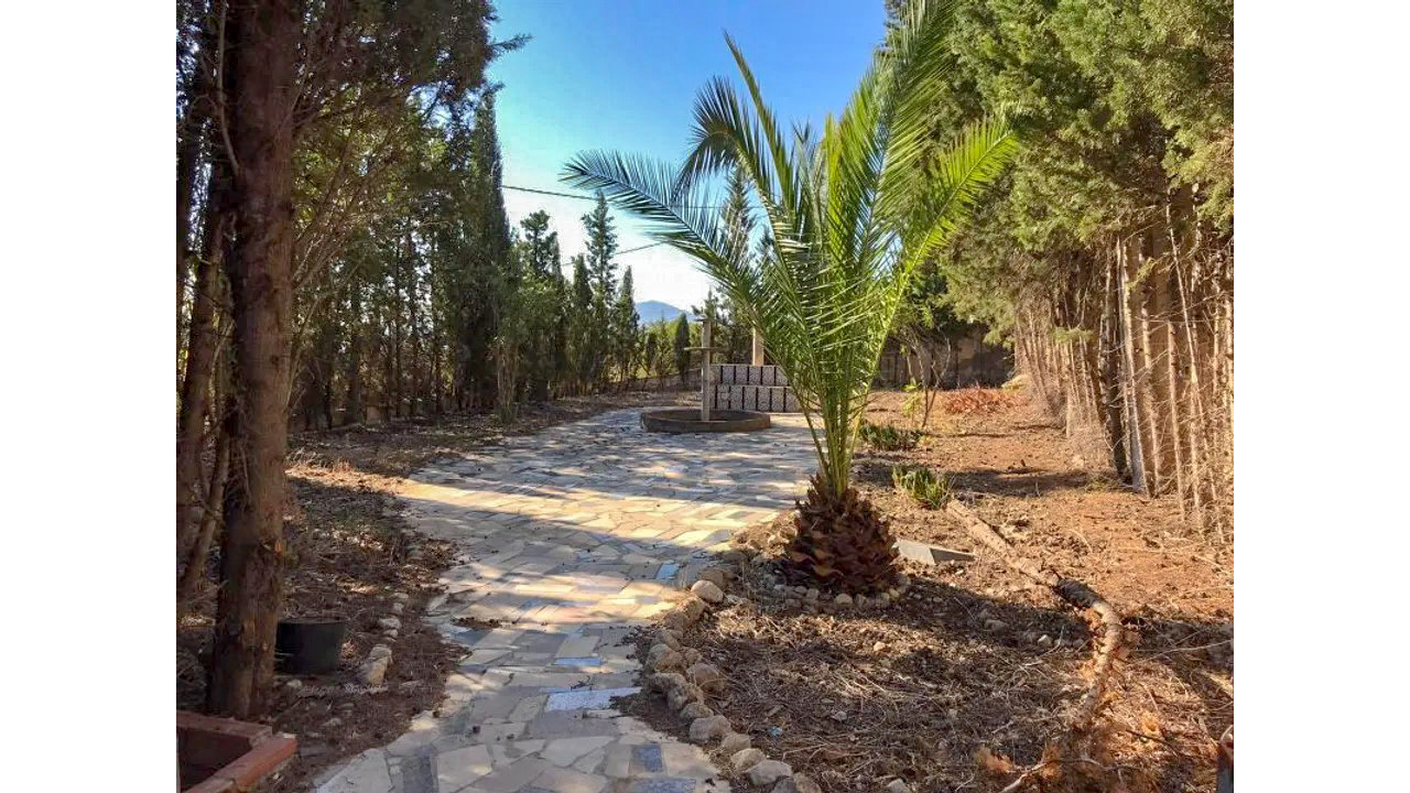 Olive Grove Estates Salinas Alicante DIY Reform Project Country House views (3)