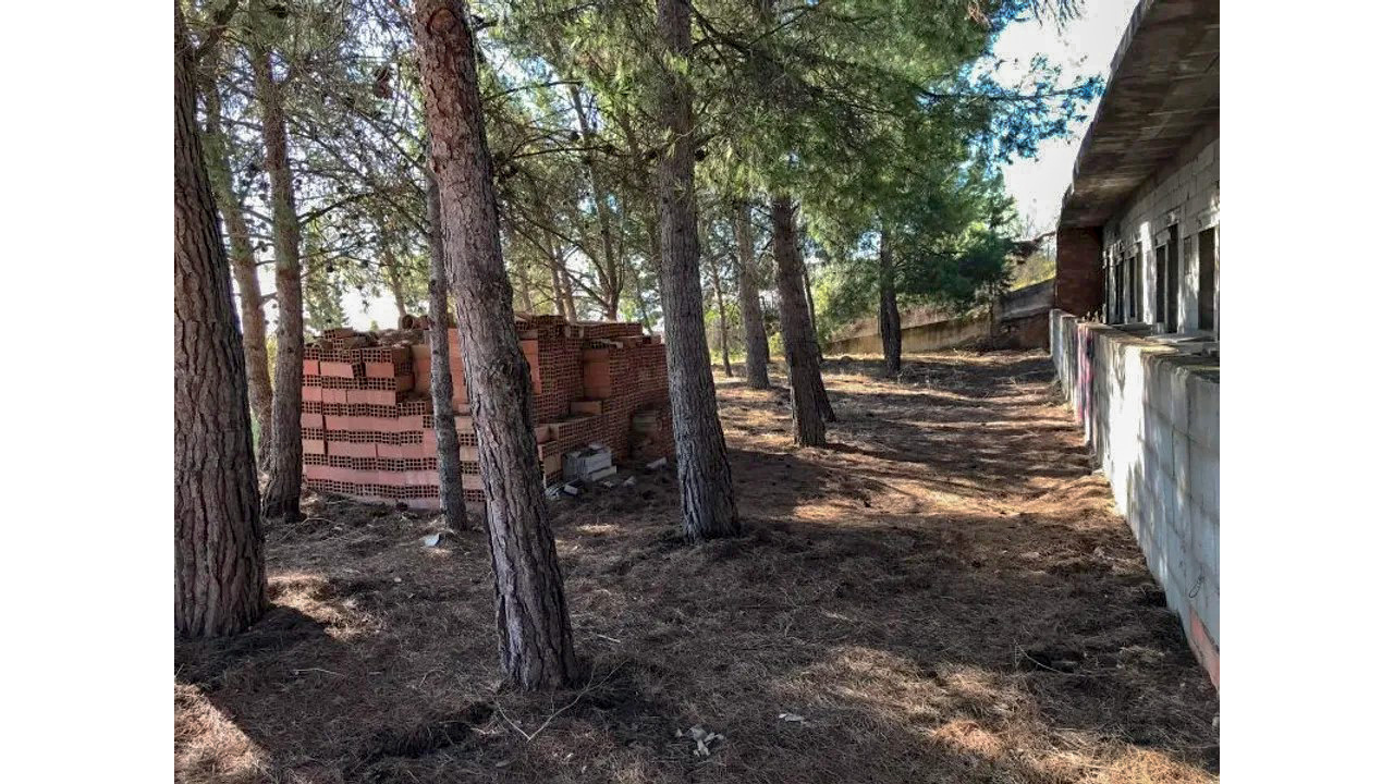 Olive Grove Estates Salinas Alicante DIY Reform Project Country House views (7)