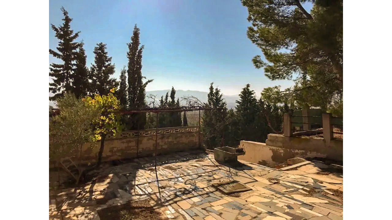 Olive Grove Estates Salinas Alicante DIY Reform Project Country House views (11)
