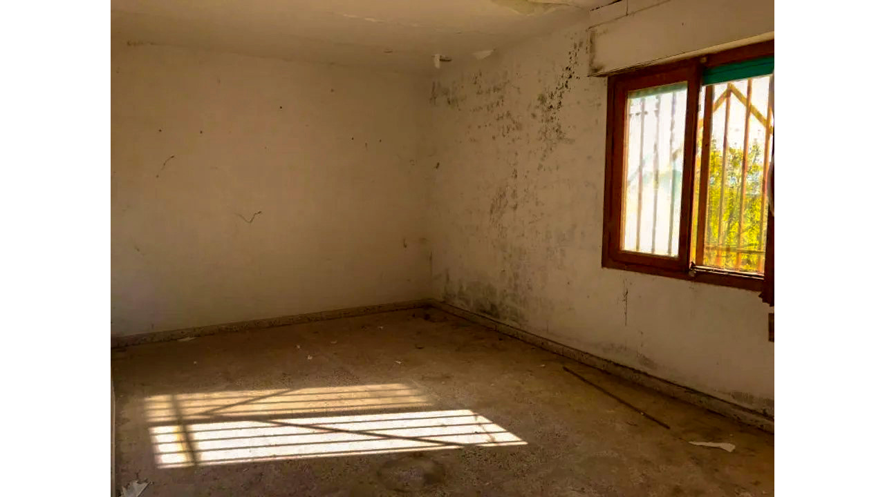 Olive Grove Estates Salinas Alicante DIY Reform Project Country House views (21)