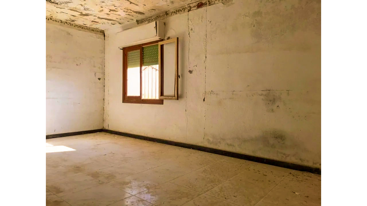 Olive Grove Estates Salinas Alicante DIY Reform Project Country House views (22)