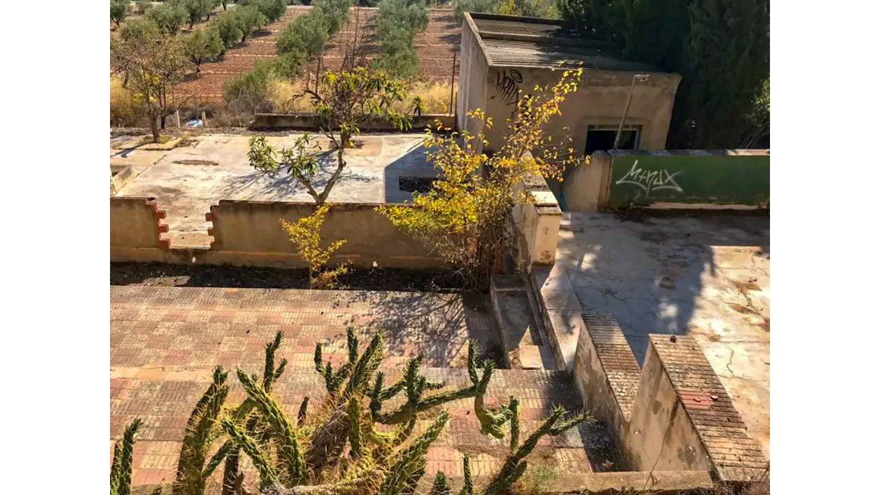 Olive Grove Estates Salinas Alicante DIY Reform Project Country House views (23)