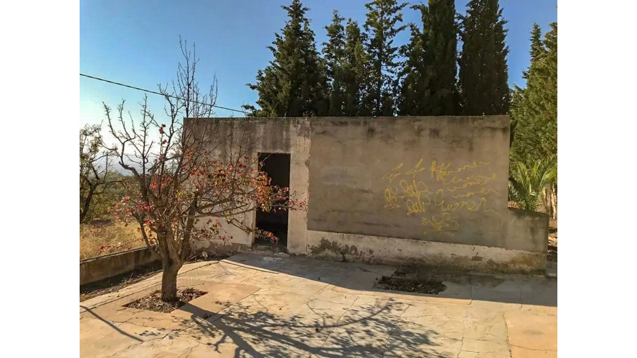 Olive Grove Estates Salinas Alicante DIY Reform Project Country House views (29)