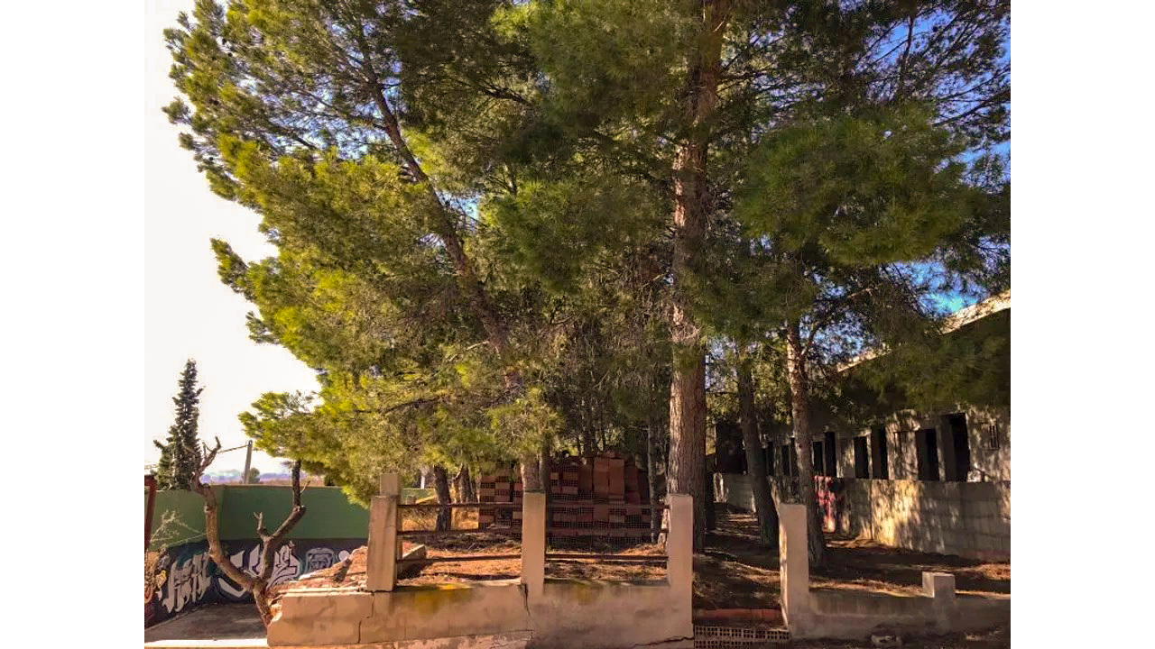 Olive Grove Estates Salinas Alicante DIY Reform Project Country House views (31)