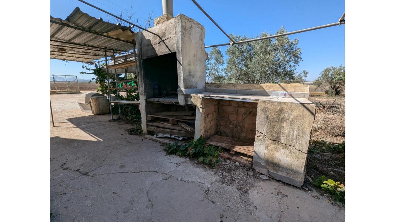 Olive Grove Estates Caudete Country Home for Renovation  (1)