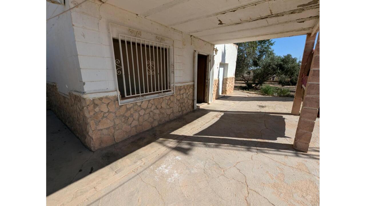 Olive Grove Estates Caudete Country Home for Renovation  (2)