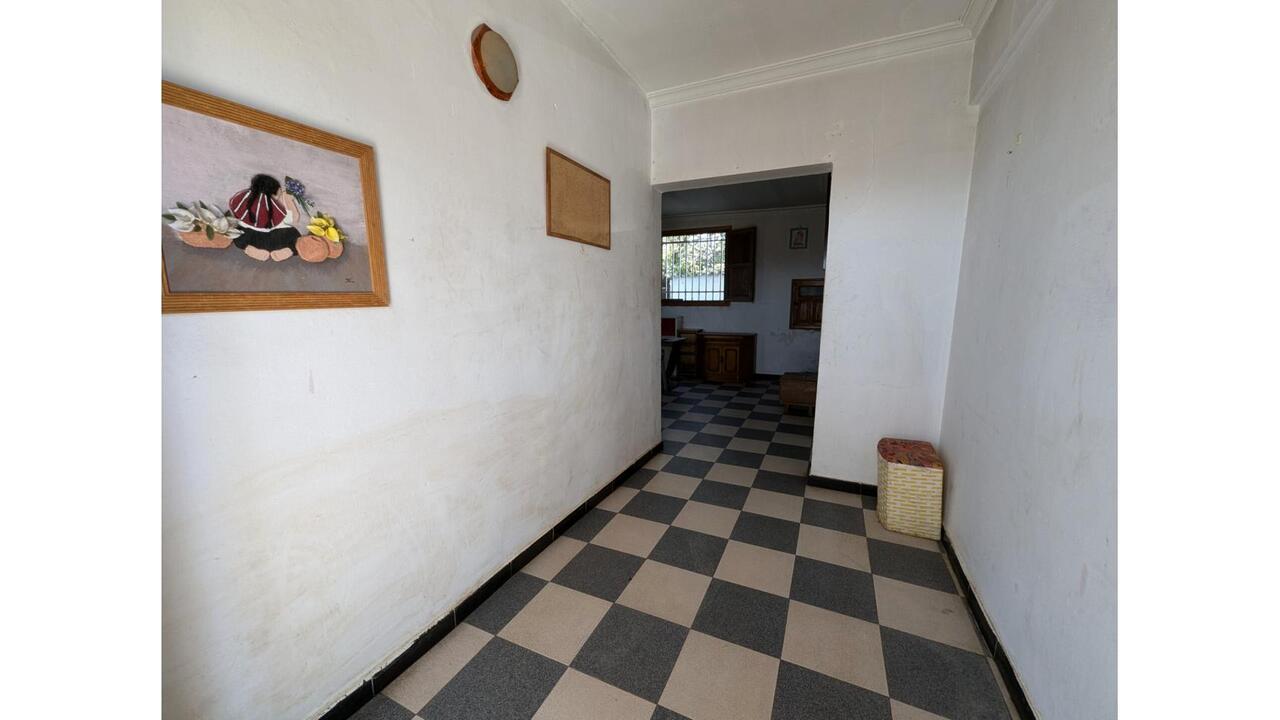 Olive Grove Estates Caudete Country Home for Renovation  (4)
