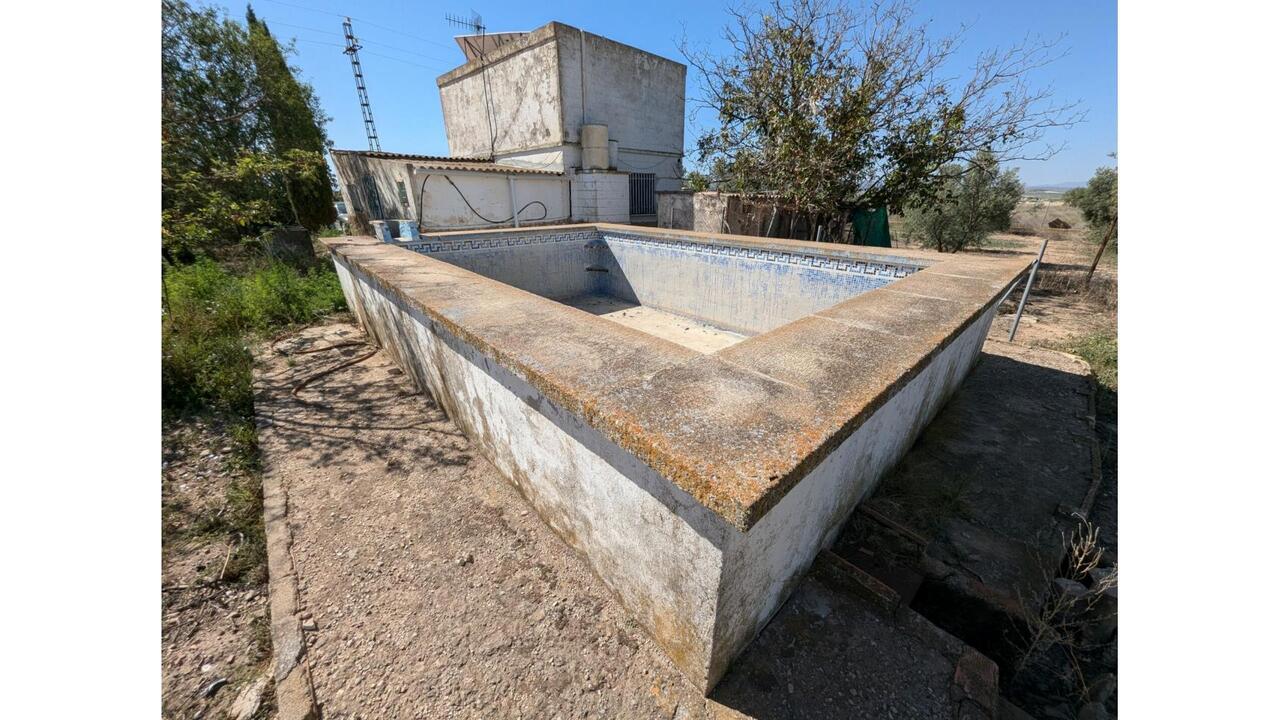 Olive Grove Estates Caudete Country Home for Renovation  (10)