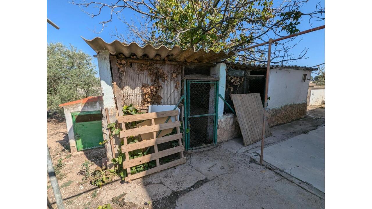 Olive Grove Estates Caudete Country Home for Renovation  (12)