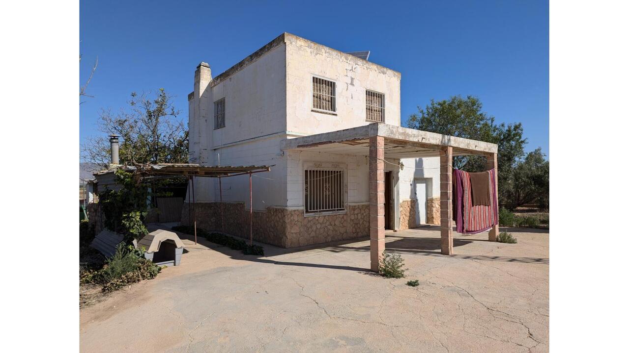 Olive Grove Estates Caudete Country Home for Renovation  (14)