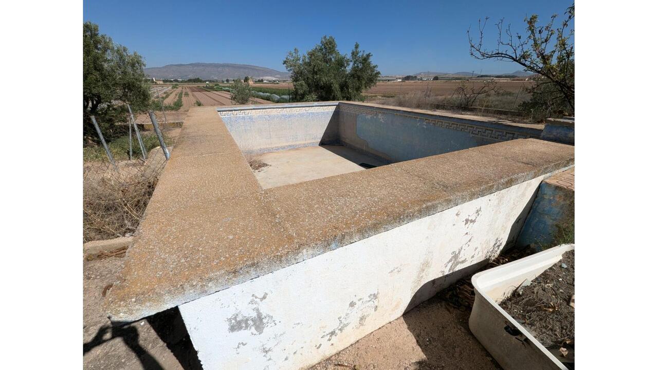 Olive Grove Estates Caudete Country Home for Renovation  (16)