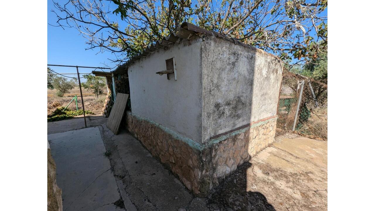 Olive Grove Estates Caudete Country Home for Renovation  (17)