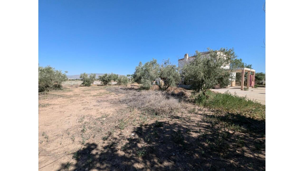 Olive Grove Estates Caudete Country Home for Renovation  (20)