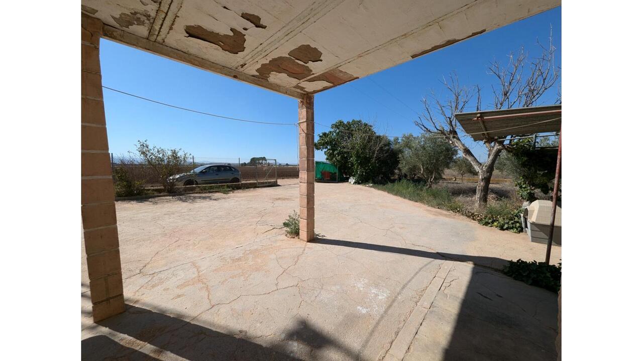 Olive Grove Estates Caudete Country Home for Renovation  (25)