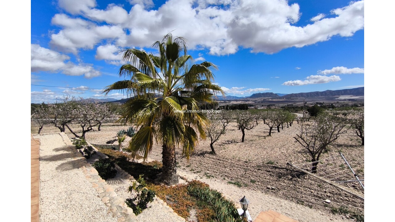 resale-villa-sax-salinas_378019_xl
