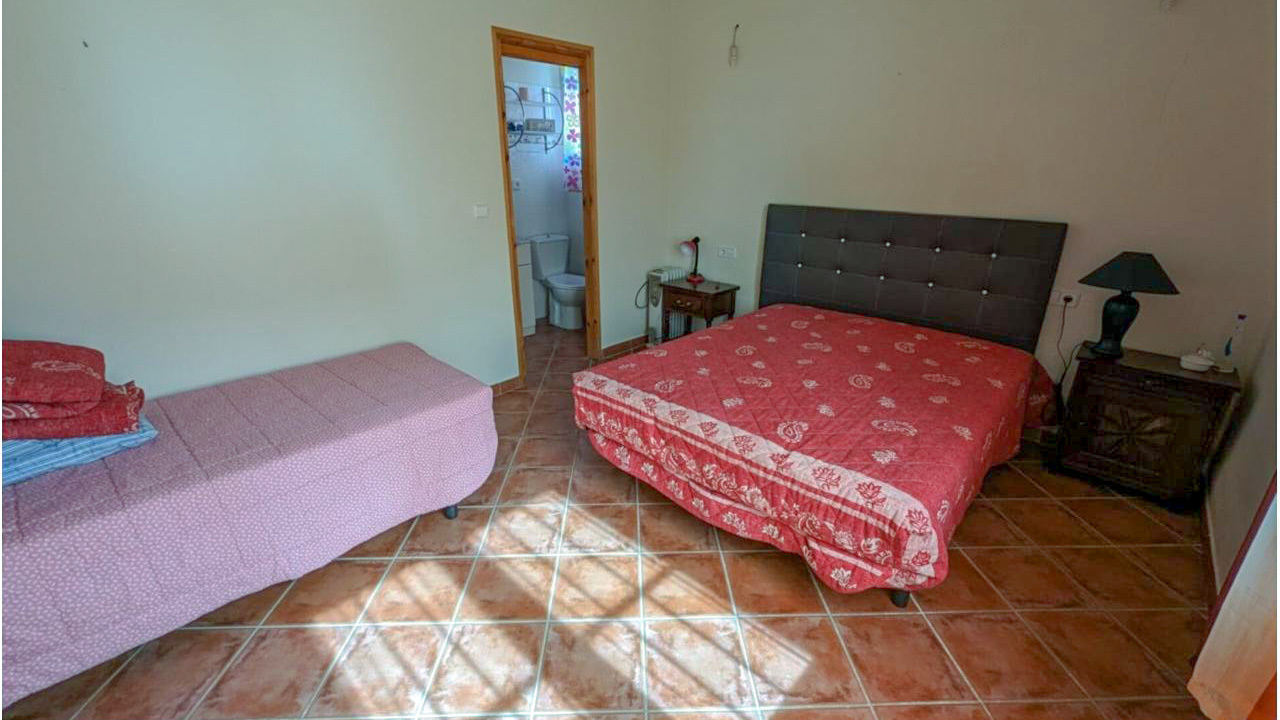 Olive Grove Estates Villena Alicante Bodega for sale (7)