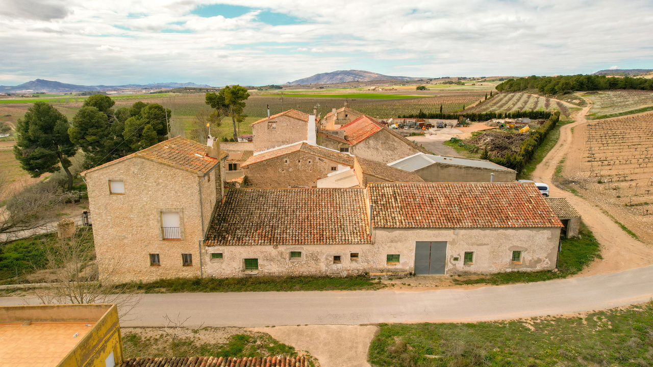 Olive Grove Estates Bargain Spanish country house Villa Finca Farm (48)