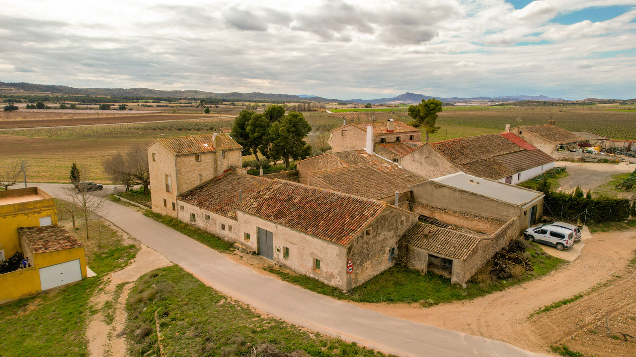 Olive Grove Estates Bargain Spanish country house Villa Finca Farm (49)
