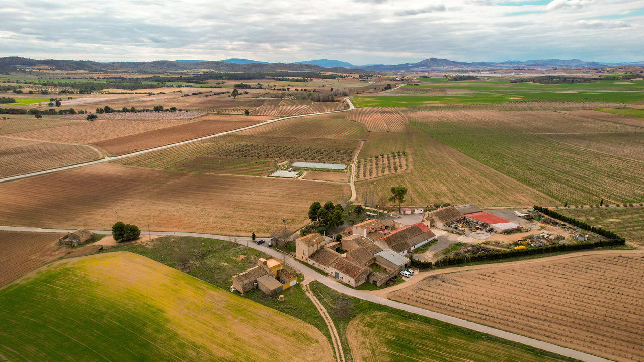 Olive Grove Estates Bargain Spanish country house Villa Finca Farm (51)