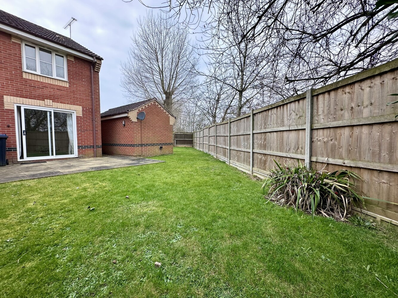 Garden 1
