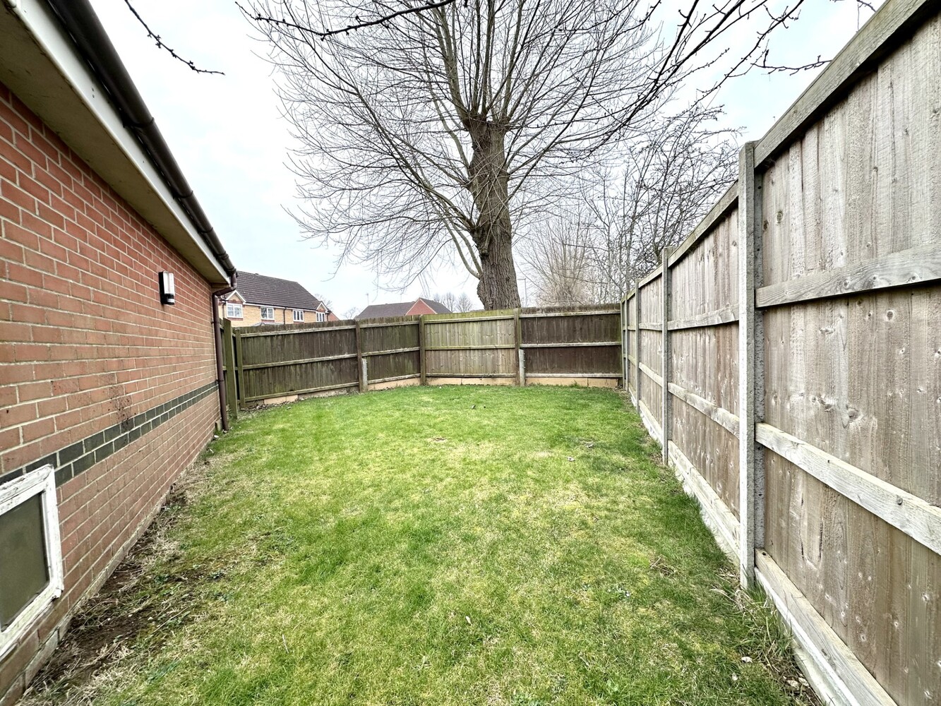 Garden 2