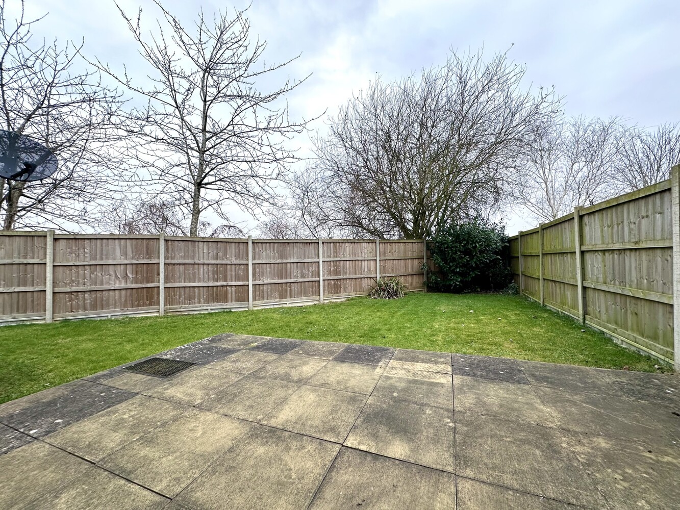 Garden 4