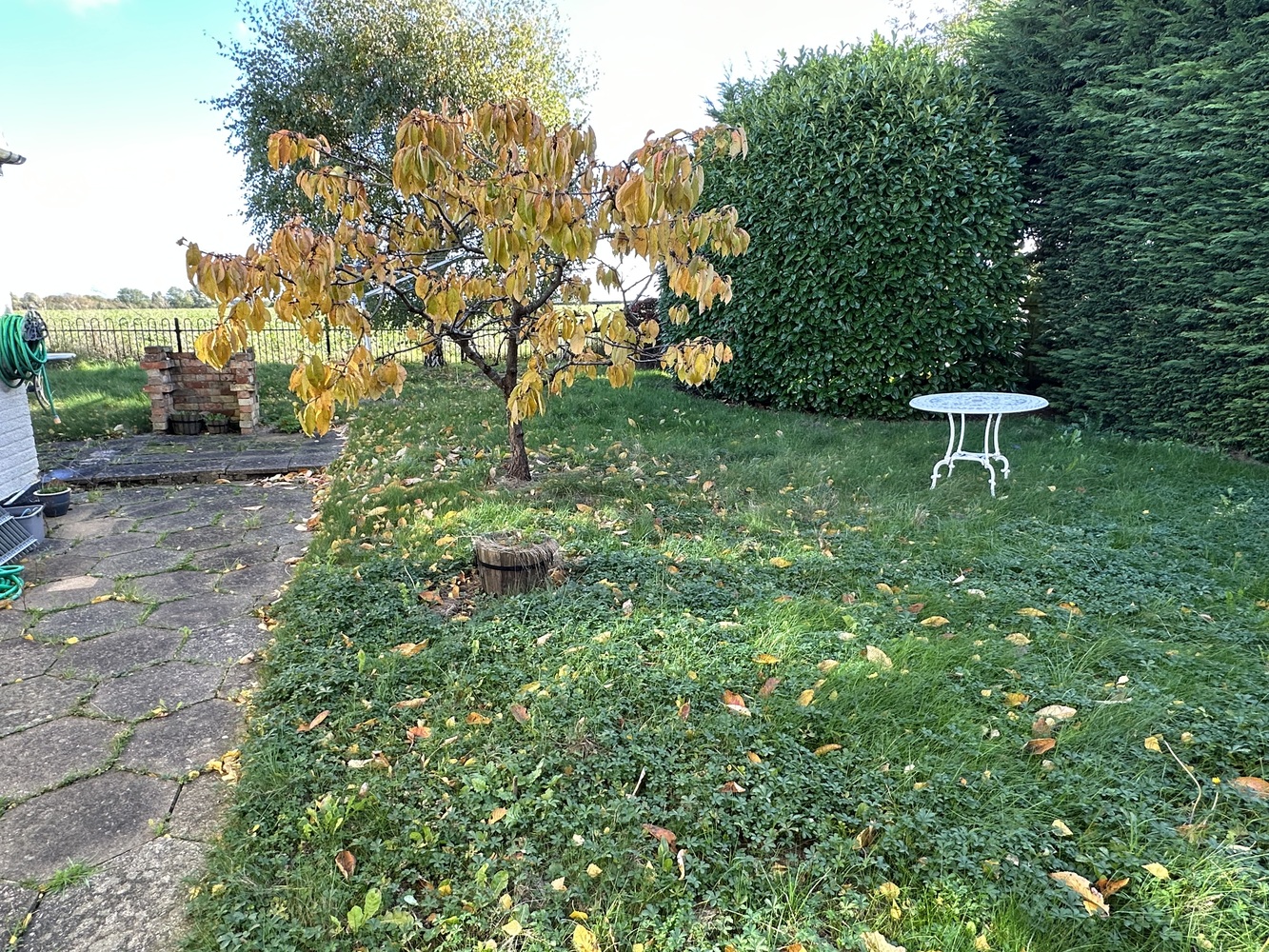 Garden 1.JPG