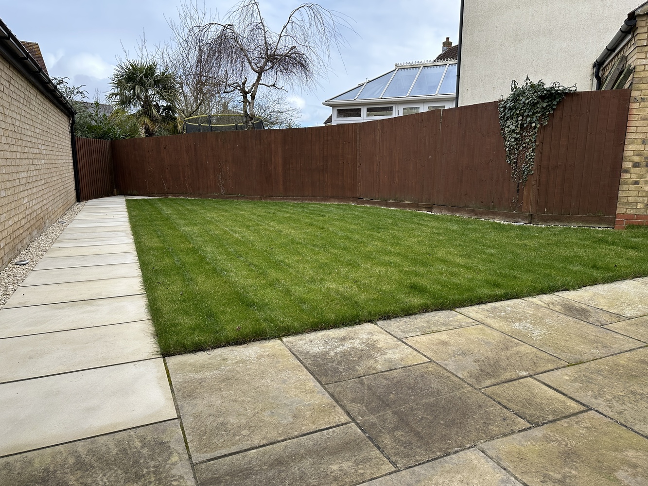 Garden 1.JPG
