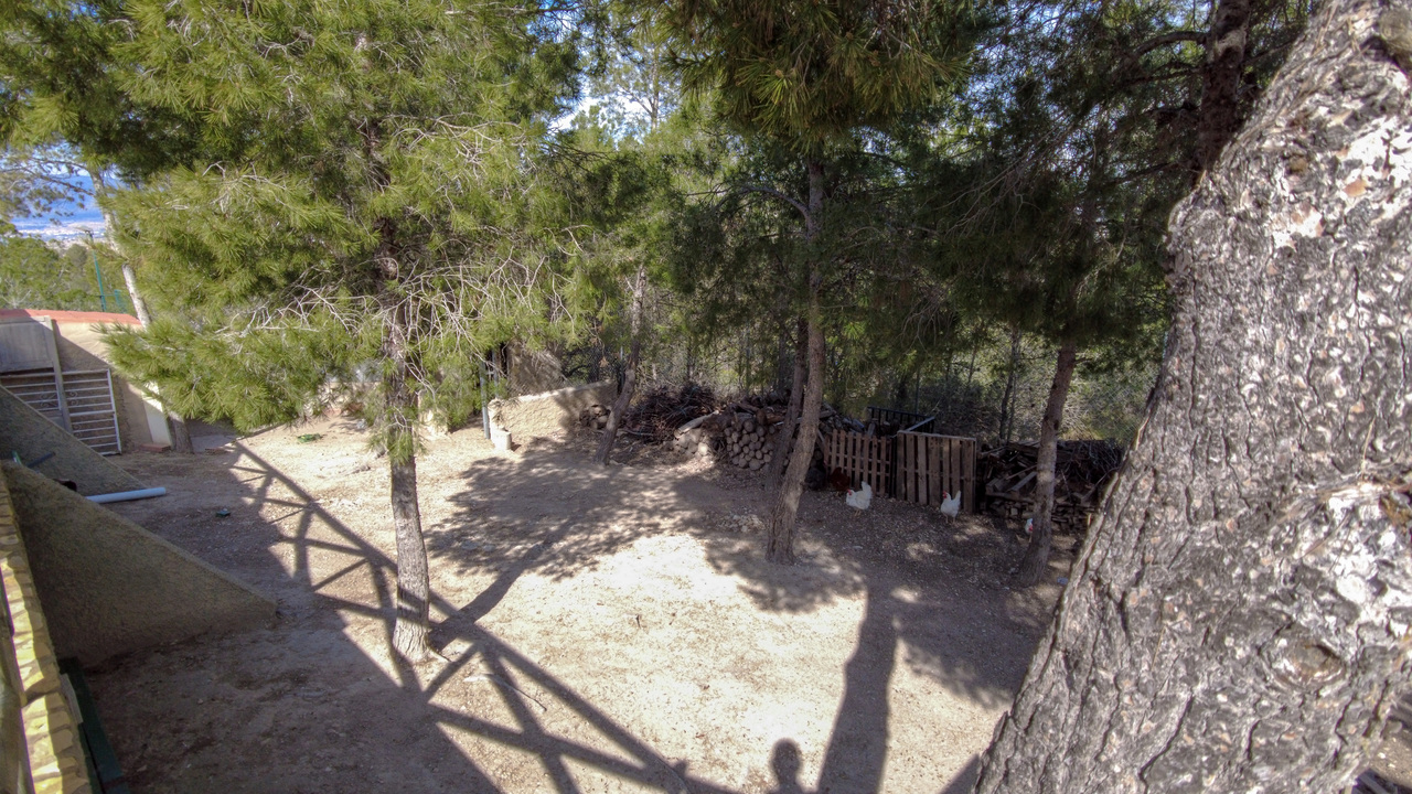Olive Grove Estates Elda Sax Alicante Mountain Retreat for sale se vende (16)