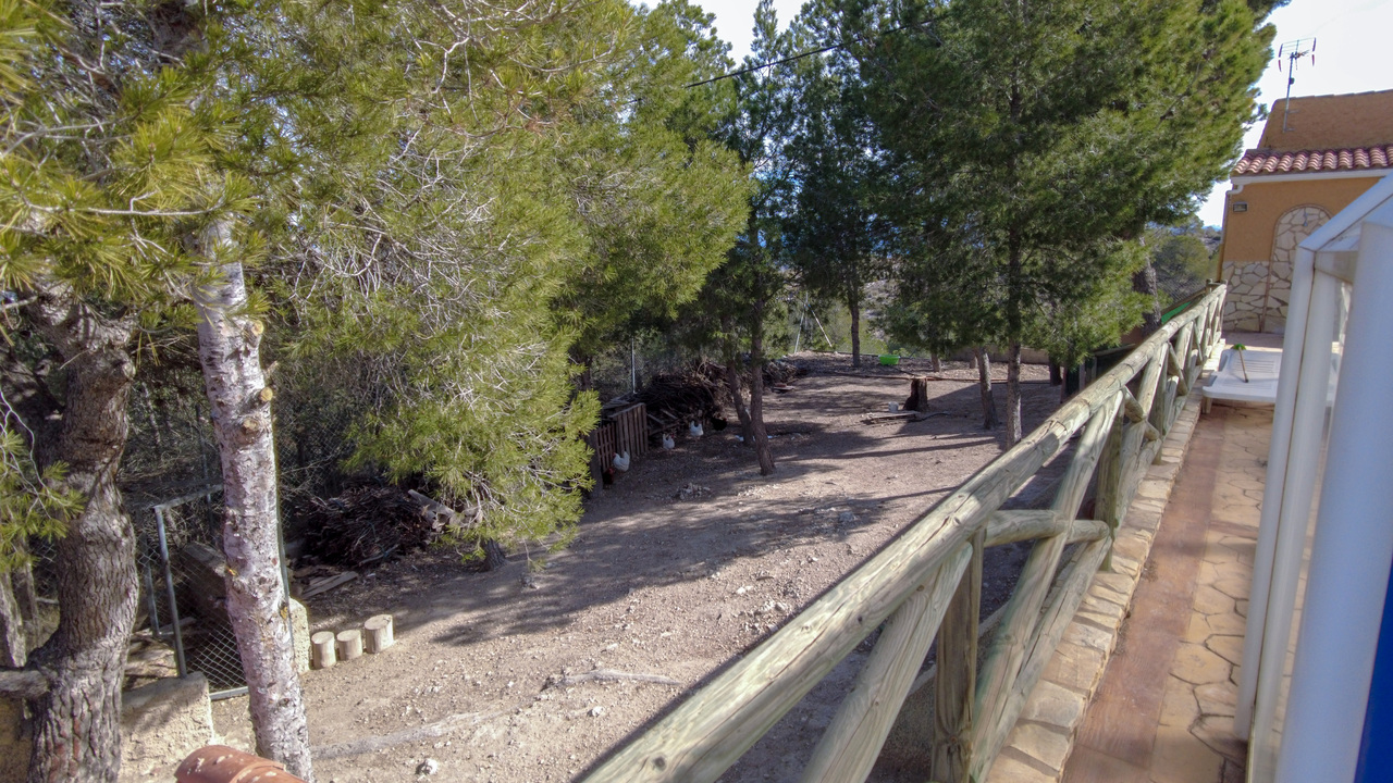 Olive Grove Estates Elda Sax Alicante Mountain Retreat for sale se vende (17)