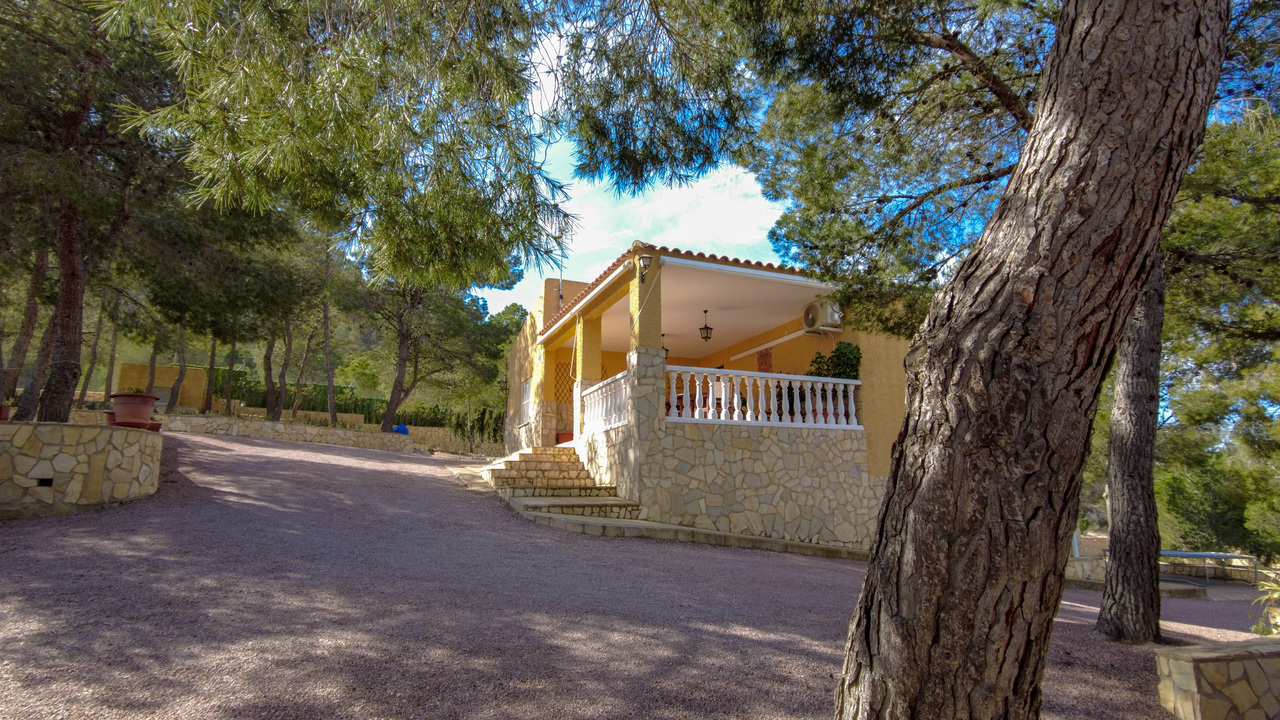 Olive Grove Estates Elda Sax Alicante Mountain Retreat for sale se vende (19)