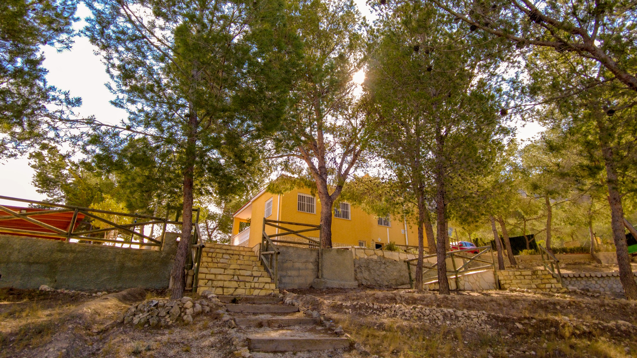 Olive Grove Estates Elda Sax Alicante Mountain Retreat for sale se vende (22)