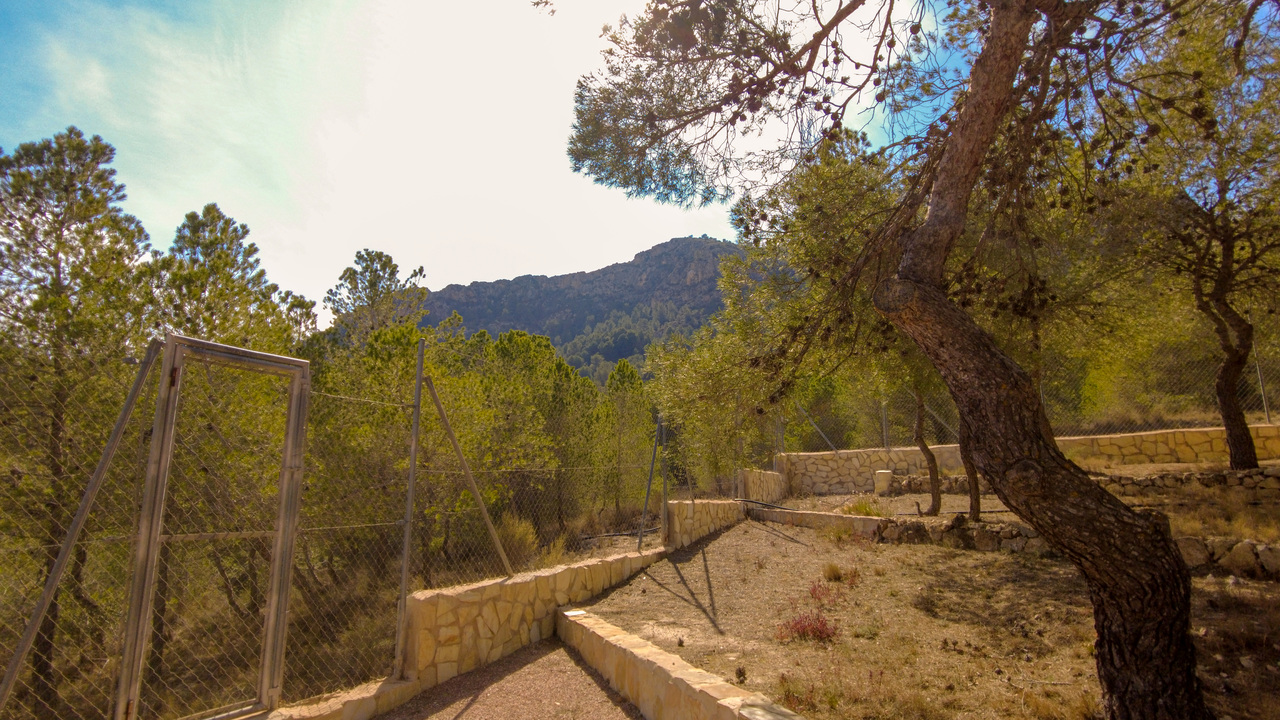 Olive Grove Estates Elda Sax Alicante Mountain Retreat for sale se vende (27)